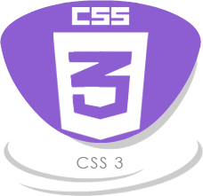 CSS